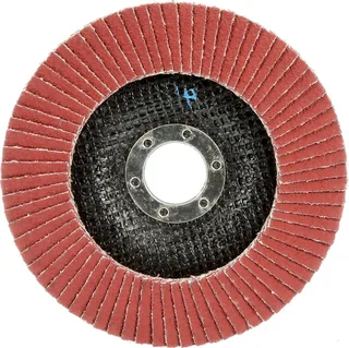3M 51482 Fächerschleifscheibe Durchmesser 125 mm Körnung (num)=40 10 St. fra 3M – produktbillede 1 af 3