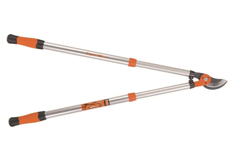 TAKKENSCHAAR PG-19-F by Bahco – product image 1 of 6