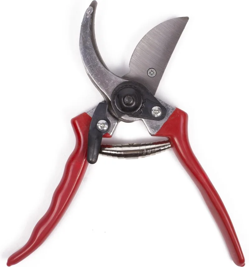 Green Arrow Snoeischaar 21 cm - Rood - Bloemen - Rozen - Takken by Benson – product image