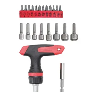 Bit-/Steckschlüssel-Einsatz-Satz mit Ratschen-T-Griff für Bits, umschaltbar 22 teilig von BGS technic – Produktbild