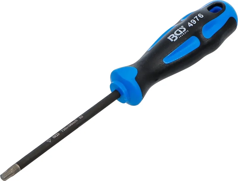 Schroevendraaier - met diamantcoating - Torx T30 de BGS technic – image du produit