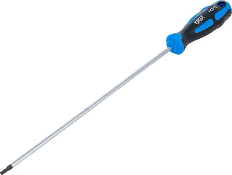 Schroevendraaier - Torx T20 - Meslengte 250 mm de BGS technic, Argent – image du produit