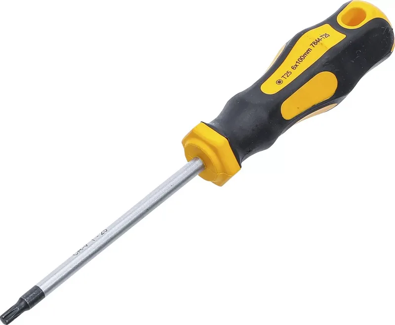 Schroevendraaier - Torx T25 - Meslengte 100 mm de BGS technic, Noir – image du produit