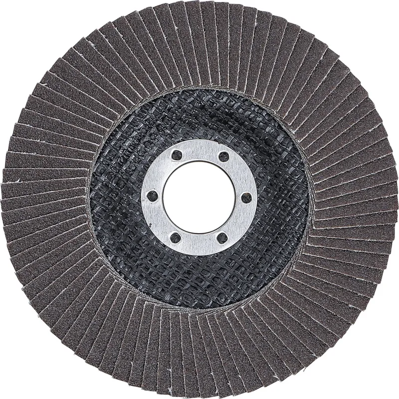 BGS Fächer-Schleif-Scheibe Ø 125 mm K 120 von BGS technic – Produktbild