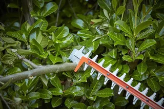 BLACK+DECKER 650W 60cm 25mm TWIST Heggenschaar - BEHTS551-QS by Black+Decker – product image 7 of 7