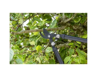 Heggenschaar - 50 MM Knipdikte - 35,5 CM - Staal van Black+Decker – productafbeelding 5 van 5