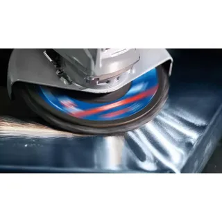 2608901475 Lamellenschijf Boordiameter 125 mm 1 stuk(s) de Bosch Professional – image du produit 3 sur 6