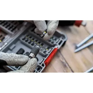 Bosch 2 PRO BITS IMPACT T30 55MM by Bosch Professional – product image 5 of 6