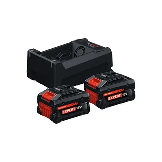 Bosch 2x EXBA 18V-55 + GAL 12V/18V-80 EXPERT Starterset 18 V ( 1600A0373P ) 2x accu 5,5 Ah + oplader 8 A AMPShare van Bosch Professional – productafbeelding 2 van 6