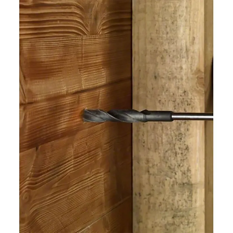 Bosch Accesorios 12x100x400 Mm Houtboor by Bosch Professional – product image 5 of 6
