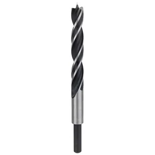 Bosch Accesorios 2608596309 12x96x151 Mm Houtboor by Bosch Professional – product image 1 of 2