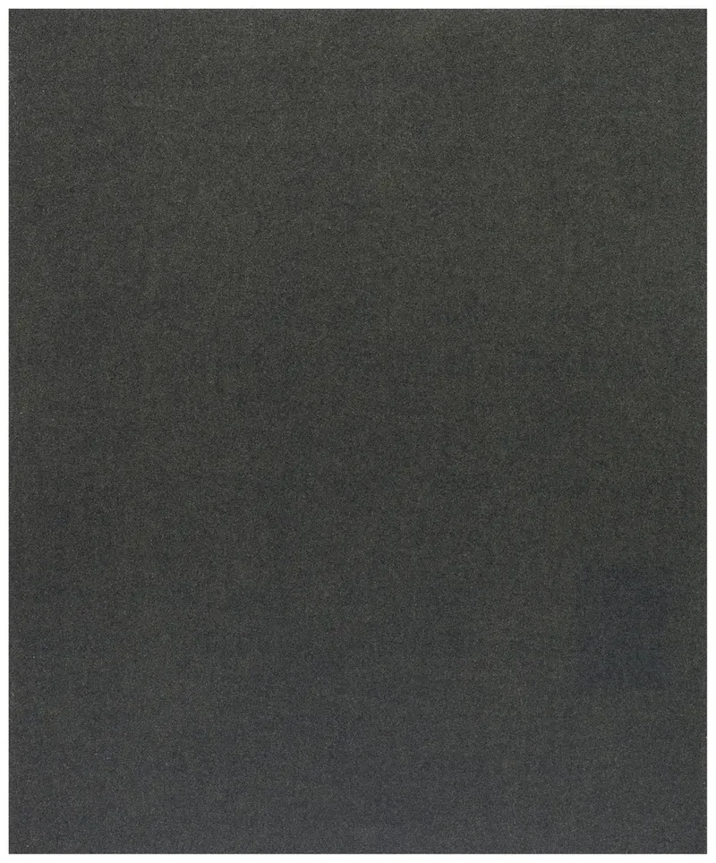 C355 2608608H65 Schleifblatt Körnung (num) 240 (B x H) 230 mm x 280 mm 1 St. von Bosch Professional – Produktbild