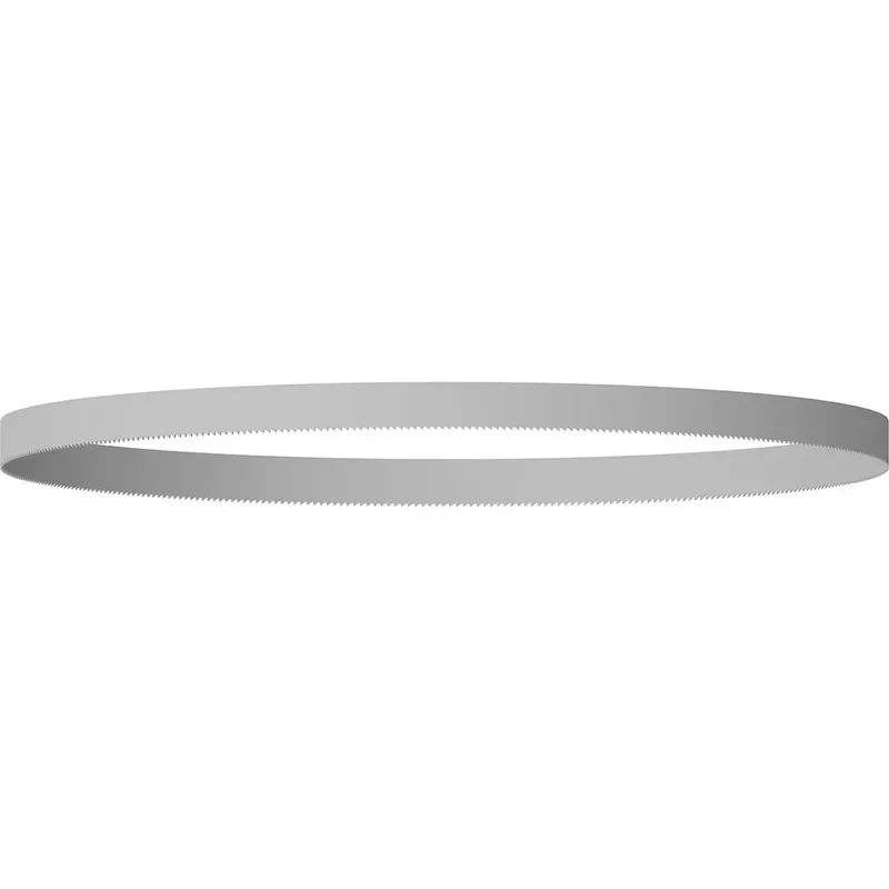 Lintzaagblad 1140 Mm 2 Eenheden von Bosch Professional – Produktbild 1 von 6