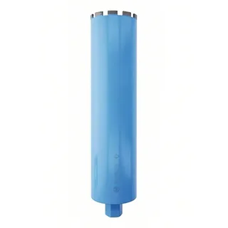 Standard 122x450 Mm Diamantkernboor by Bosch Professional – product image 1 of 3