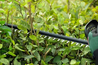 UniversalHedgeCut 18-50 Heggenschaar - Met 18 V accu en lader van Bosch, Groen – productafbeelding 5 van 5