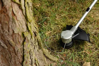 Akku-Rasentrimmer AdvancedGrassCut 36V 33, mit Akku 36V/2,0 Ah und Ladegerät fra Bosch Home & Garden, Grøn – produktbillede 4 af 5