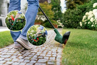 Akku-Rasentrimmer Easy GrassCut 18 V-230 Solo, 23 cm Arbeitsbreite Faden, inkl. Ersatzfadenspule, ohne Akku und Ladegerät de Bosch Home & Garden, Vert – image du produit 4 sur 4