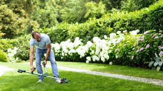Akku-Rasentrimmer UniversalGrassCut 18V 26, ohne Akku und Ladegerät by Bosch Home & Garden, Green – product image 2 of 5