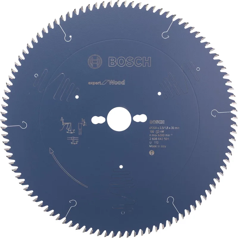 Cirkelzaagblad Expert for Wood 300 x 30 x 2,5 mm, 100 von Bosch Professional – Produktbild