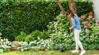 EasyGrassCut 23 - Grastrimmer - op snoer - 230 V - Snijbreedte 23 cm by Bosch – product image 2 of 5