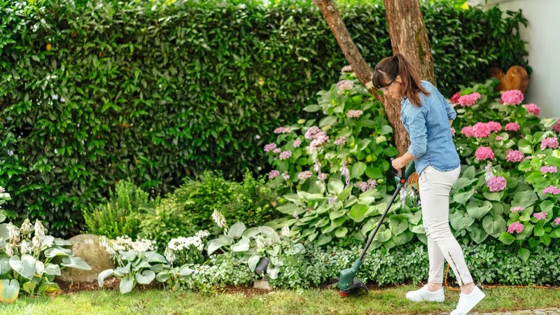 EasyGrassCut 23 - Grastrimmer - op snoer - 230 V - Snijbreedte 23 cm by Bosch – product image 2 of 5