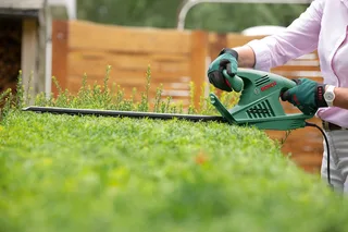EasyHedgeCut 55 Heggenschaar - op snoer - 420 W by Bosch – product image 1 of 5