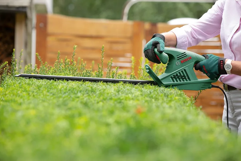 EasyHedgeCut 55 Heggenschaar - op snoer - 420 W by Bosch – product image 1 of 5