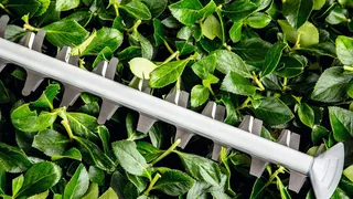 Elektro-Heckenschere UniversalHedgeCut 50 van Bosch, Groen – productafbeelding 4 van 4