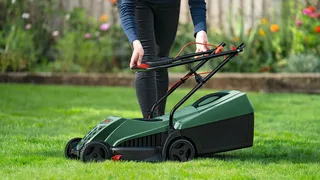 Elektrorasenmäher EasyRotak 32-215, 32 cm Schnittbreite by Bosch – product image 2 of 3
