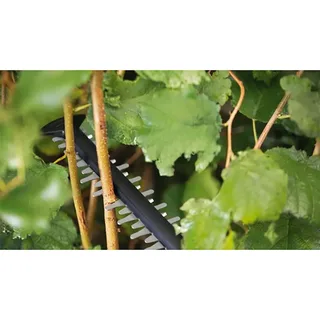 Akku-Heckenschere UniversalHedgeCut 18V-55, 1 x Akku PBA 18V 2.5Ah von Bosch Home & Garden – Produktbild 5 von 5