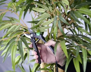 aambeeld-snoeischaar, zwart/groen de Brüder Mannesmann – image du produit 2 sur 2