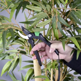 classic-snoeischaar, zwart/groen by Brüder Mannesmann – product image 2 of 2