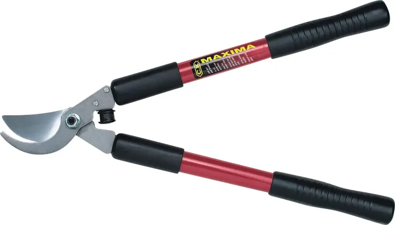 G5012 G5012 Astschere Bypass van C.K – productafbeelding