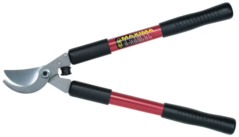 G5012 G5012 Astschere Bypass von C.K – Produktbild 2 von 2