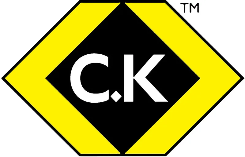 T3034 25 Schlangenbohrer 25 mm Gesamtlänge 300 mm Sechskantschaft 1 St. von C.K – Produktbild