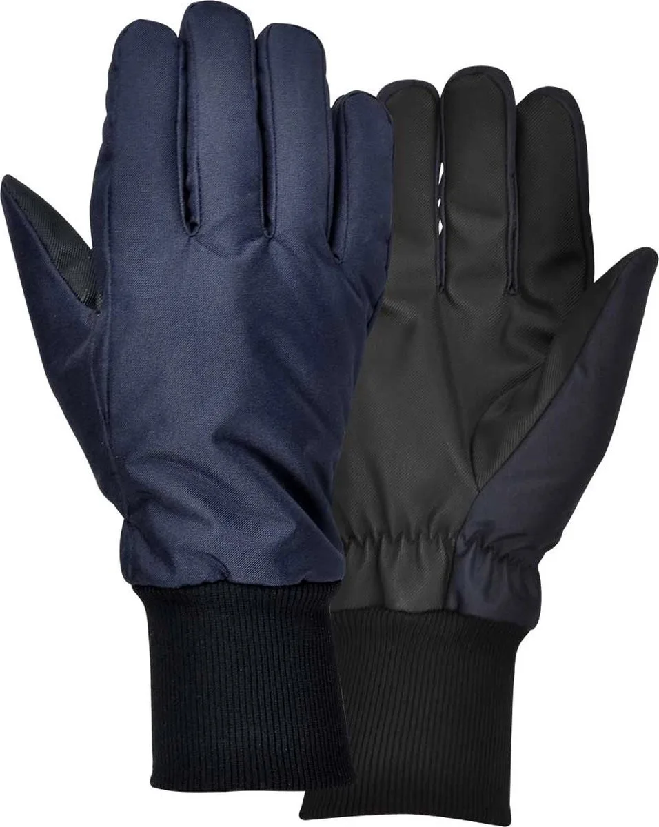 tundra winterhandschoenen, werkhandschoenen | geschikt voor in koelhuizen van Cofra, Blauw, 10 XL – productafbeelding