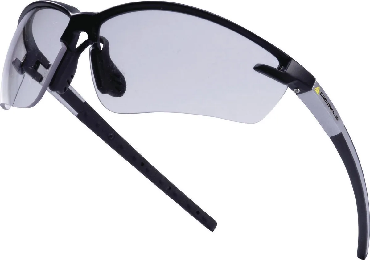 Veiligheidsbril Fuji2 Clear Grijs/Zwart Delta Plus von Delta Plus, Schwarz – Produktbild