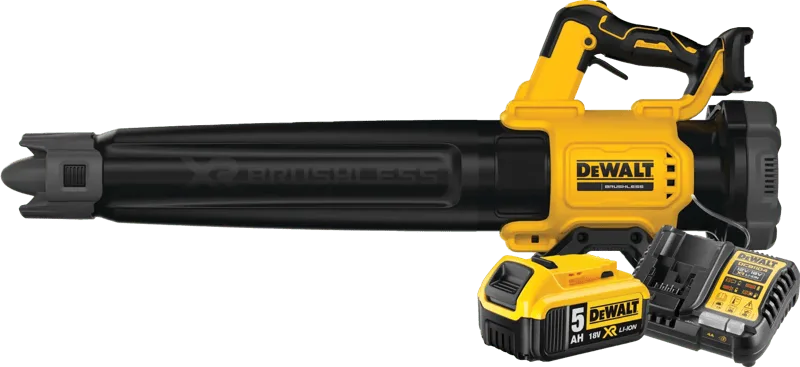 DCMBL562N-XJ 5,0-Ah-Akku Starterset von DEWALT – Produktbild