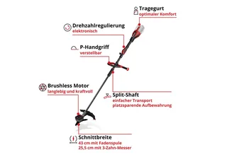 GP-BC 36/430 Li P BL-Solo Grastrimmer (Motorsense) 36 V 2.5 Ah Snijbreedte max.: 255 mm de Einhell – image du produit 2 sur 4
