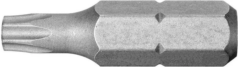 Standaard bits serie 1 voor Torx® schroeven - EX.110 by Facom – product image