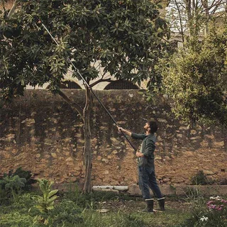 Baumschere Fiskars Teleskop-Schneidgiraffe 115560 van Fiskars – productafbeelding 5 van 5