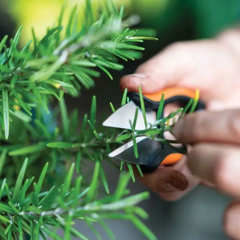 Fiskars 1063326 Solid™ SP220 Tuinschaar van Fiskars – productafbeelding 4 van 6