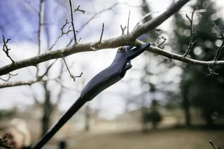 Fiskars 1073082 Solid™ Gartenschere by Fiskars – product image 2 of 2