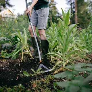 Onkruidsteker by Fiskars – product image 5 of 6