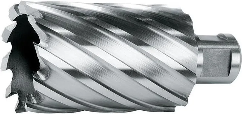 Kernboor HSS 14/55mm FORMAT van FORMAT – productafbeelding