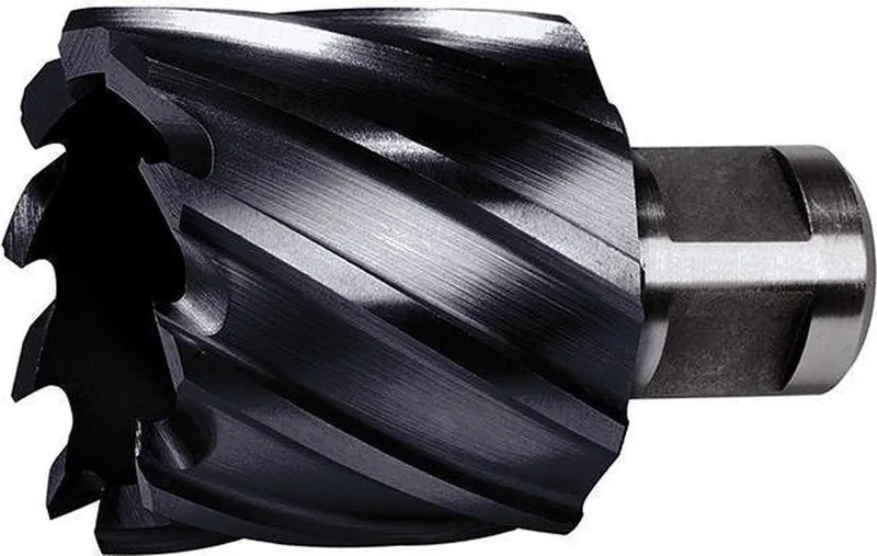 Kernboor HSS-Co TiAlN 39/30mm FORMAT de FORMAT – image du produit