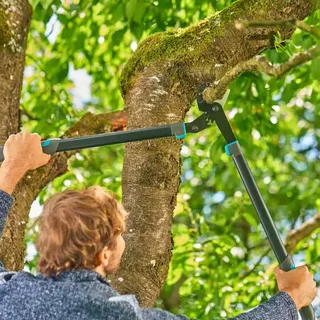 Aambeeldtakkenschaar EnergyCut Pro L, met aambeeldsnede, takkenschaar voor droog hout fra Gardena – produktbillede 3 af 5
