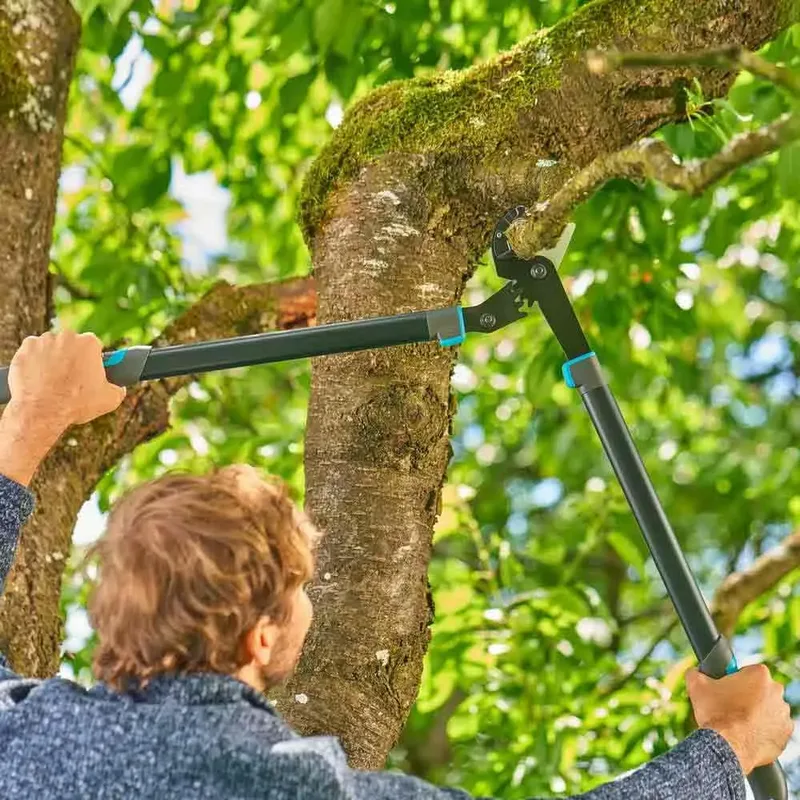Aambeeldtakkenschaar EnergyCut Pro L, met aambeeldsnede, takkenschaar voor droog hout fra Gardena – produktbillede 3 af 5