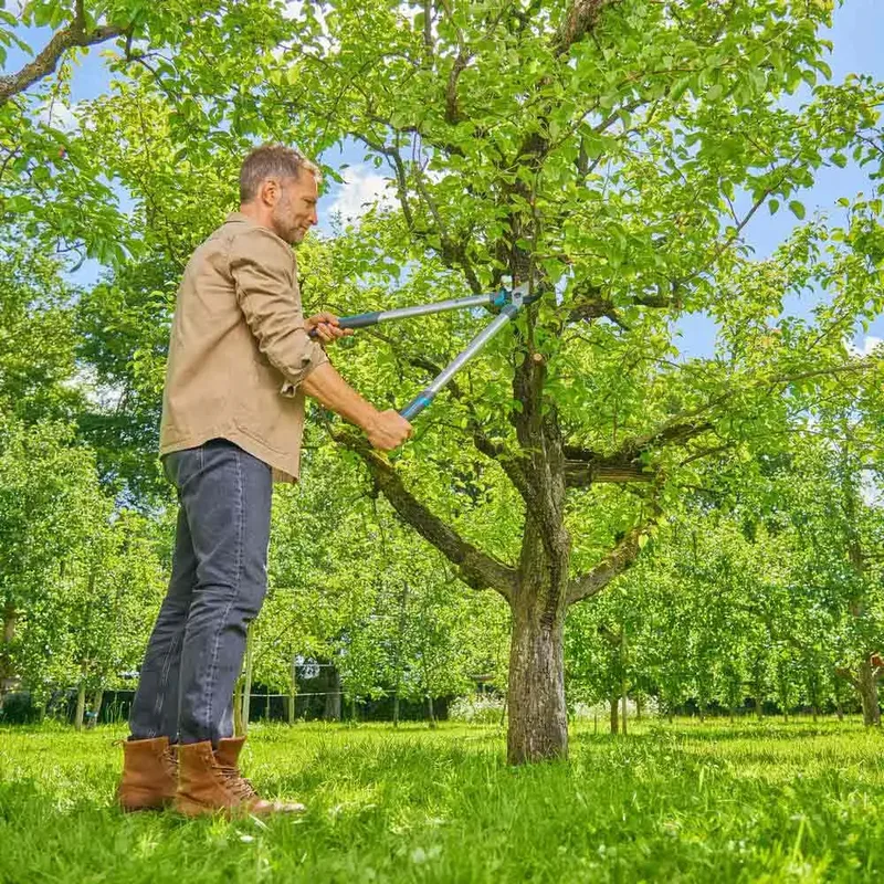 Takkenschaar EasyCut L, bypass-snede, ideaal voor groen hout de Gardena – image du produit 4 sur 5