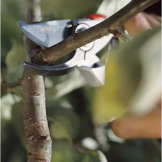 Tuinschaar - Bypass - 24mm - 08702-20 by Gardena – product image 3 of 4